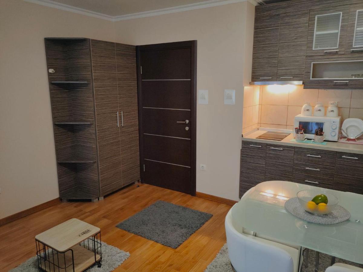 Apartman Jovanovic Vrnjacka Banja Bagian luar foto
